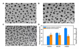 國內(nèi)研究團(tuán)隊成功制備大面積3D Janus多孔膜
